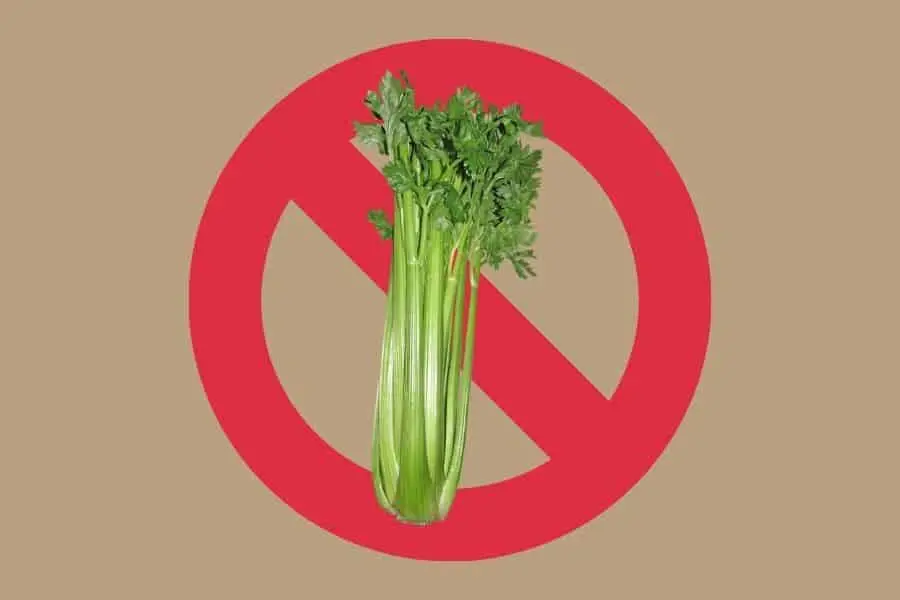 Tan background with image of green celery superimposed over red "no" symbol, circle with a strike through indicating "no celery"
