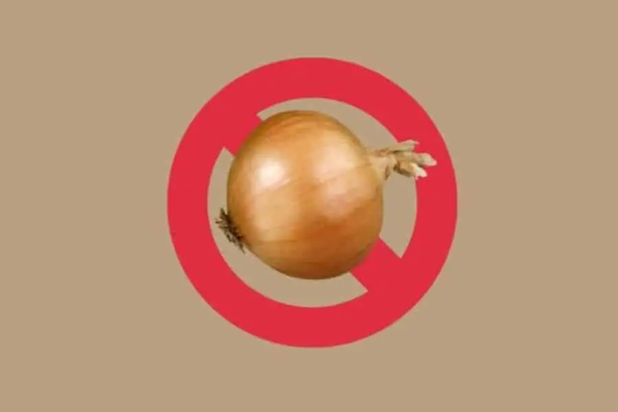 Yellow Onion Superimposed on a Red Circle With A Line, "No" symbol indicating "No Onion"