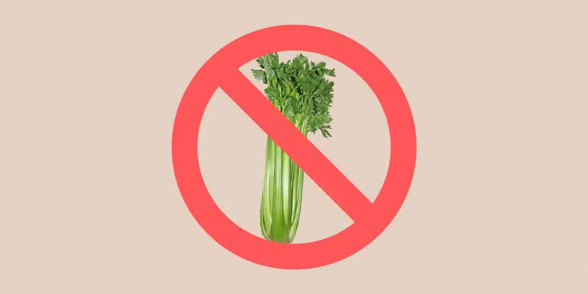 Photo of fresh green celery stalk and leaves, crossed out with red prohibited sign for blog post about celery substitutes for Single Ingredient Groceries.