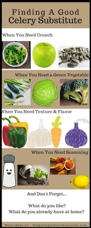 Infographic with white and tan background with title "Finding a good celery substitute" for Single Ingredient Groceries