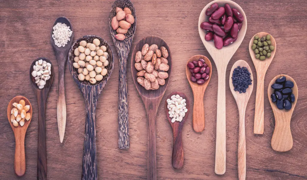 dried beans and lentil in wooden spoons