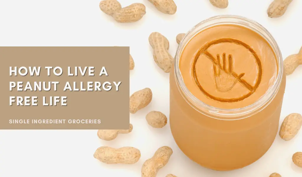 peanut allergy blog banner
