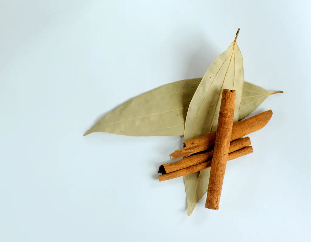 bay leaves and cinnamon sticks displayed on a blue background