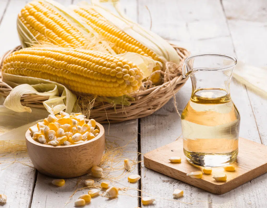 corn on the cob and corn oil displayed on a light background