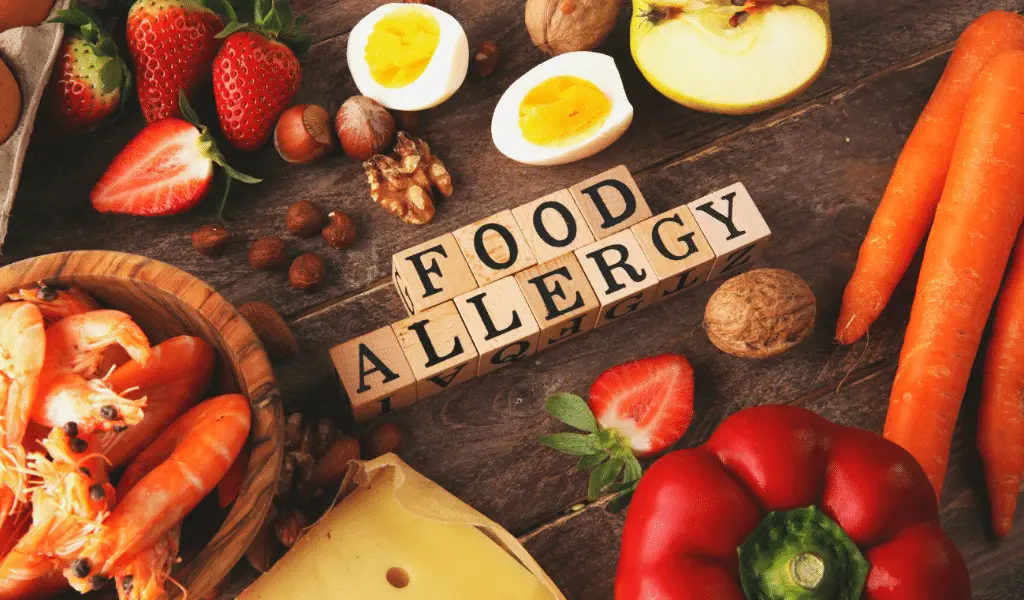 food allergy feature image