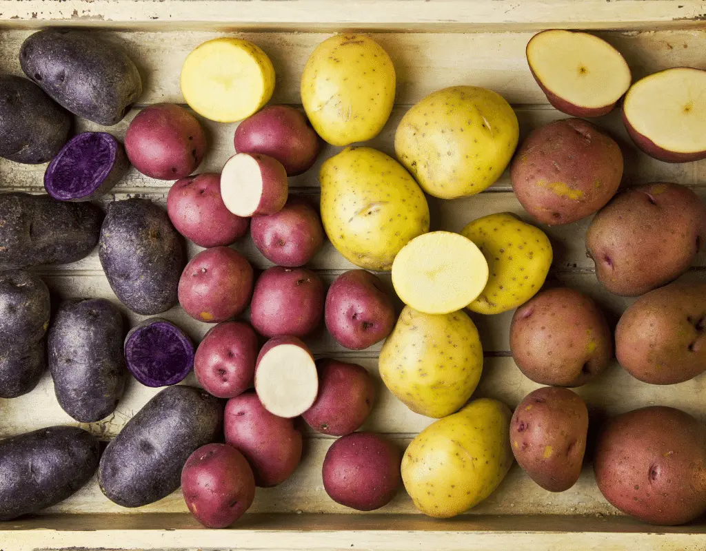 purple ,red, and yellow potatoes are are displayed on a wood tray