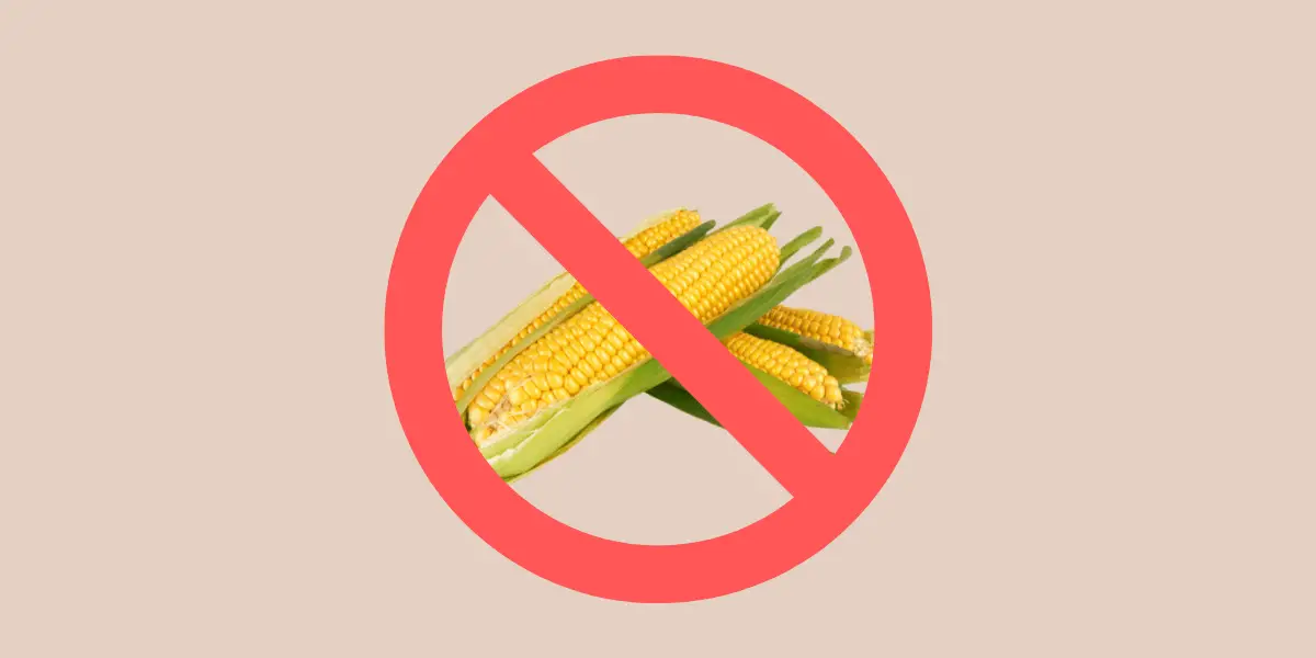 Tan background with "no" or "Prohibition" sign in red covering two ears of yellow corn with green leaves for Single Ingredient Groceries blog post about corn allergy and corn sensitivity.