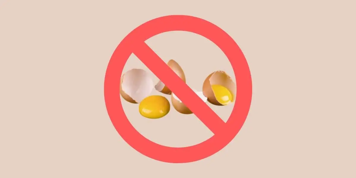 Tan background with photo of cracked brown eggs and egg yolks crossed out with a red no / prohibition sign for Single Ingredient Groceries blog post.