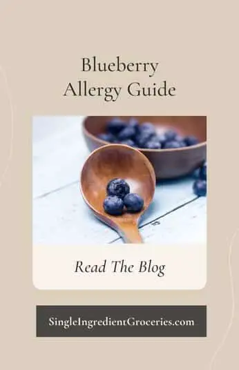 Image of blueberries on a brown wooden spoon and brown bowl with title blueberry allergy guide for single ingredient groceries. 