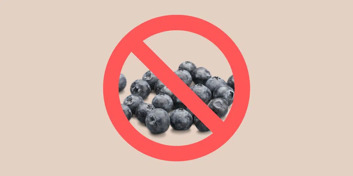 Fresh Blueberries on tan background with red prohibited (no) sign, a circle with a slash through it; for Single Ingredient Groceries blog post about blueberry allergy
