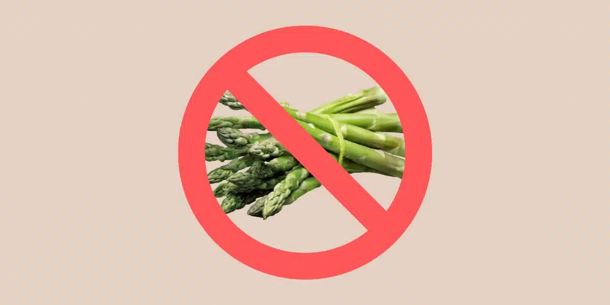 Tan background and photo of fresh green asparagus spears with red no / prohibition circle with a line through it for Single Ingredient Groceries post about asparagus substitutions.