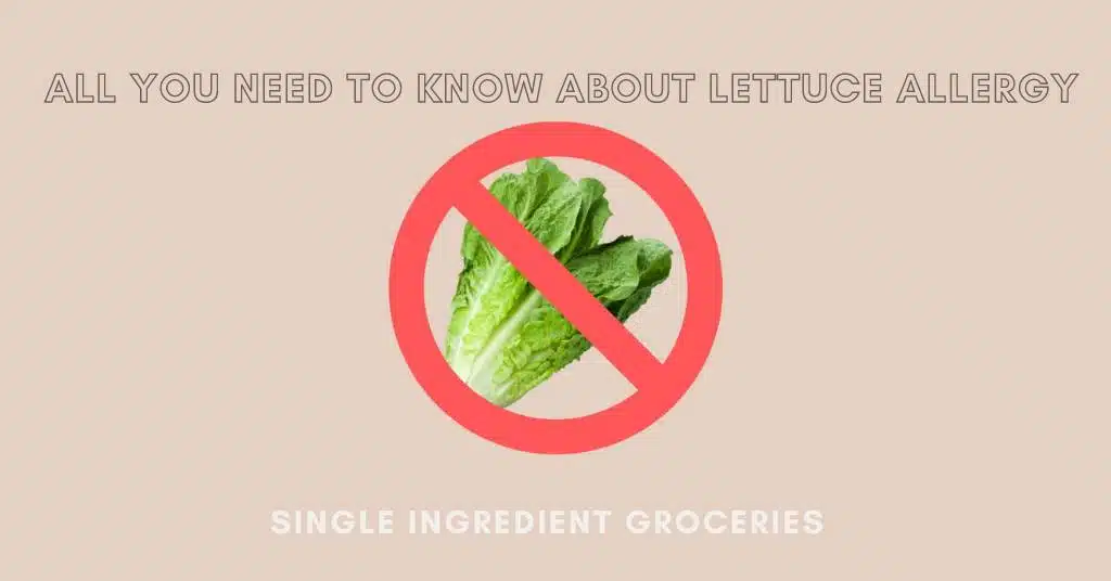 Image of fresh green romaine lettuce crossed out by "prohibited" symbol wit text "All you need to know about lettuce allergy" for single ingredient groceries blog post.