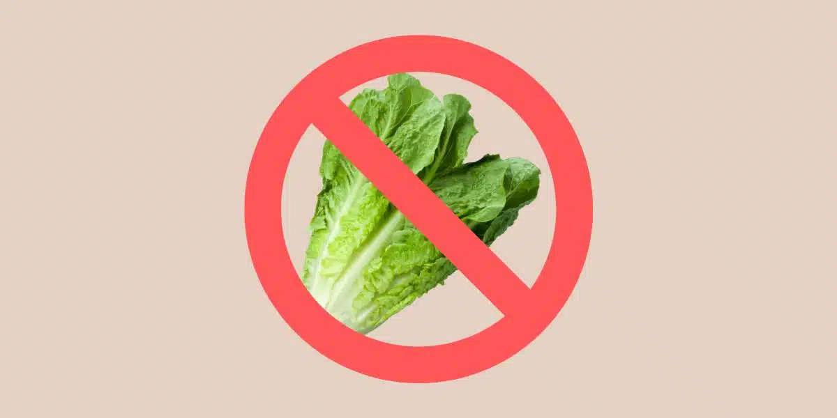 Fresh romaine lettuce being crossed out by a red prohibited / no sign (circle with a line through it) for Single Ingredient Groceries blog post about Lettuce Allergy