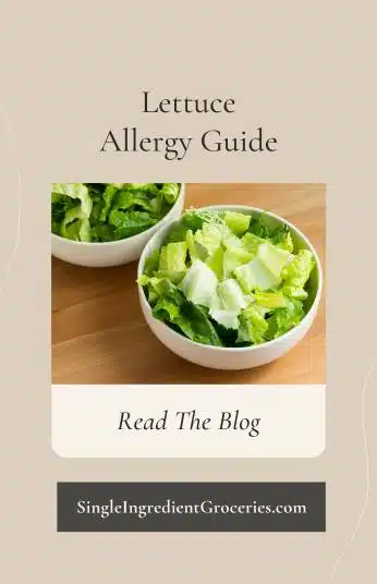 Image of chopped lettuce in white bowl with text "Lettuce allergy guide; read the blog" for Single Ingredient Groceries. 