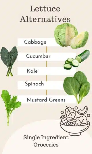 Infographic titled Lettuce Alternatives with images and text of cabbage, cucumber, kale, spinach, and mustard greens for Single Ingredient Groceries blog post about lettuce allergy. 