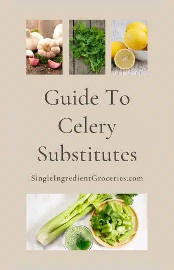 Text reads "guide to celery substitutes. Single Ingredient Groceries" with images of garlic, fresh cilantro, lemons, and celery. 